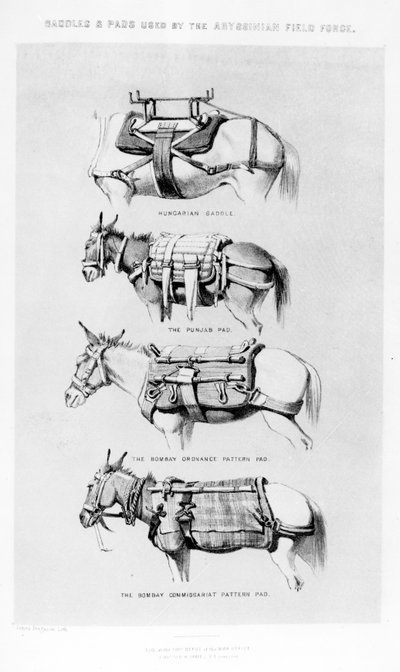 Saddles and Pads Used by the Abyssinian Field Force by Henry James